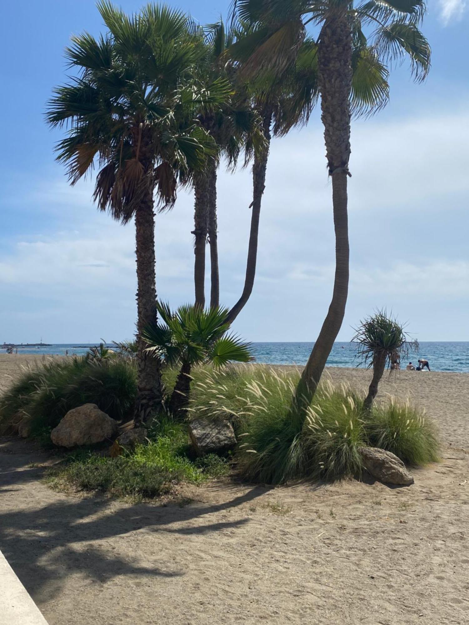 Almeria Playa Zapillo Εξωτερικό φωτογραφία